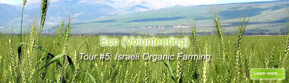 חוות האקולוגיות של ישראל: טעם ותועלת לבריאות חוות האקולוגיות של ישראל: טעם ותועלת לבריאות