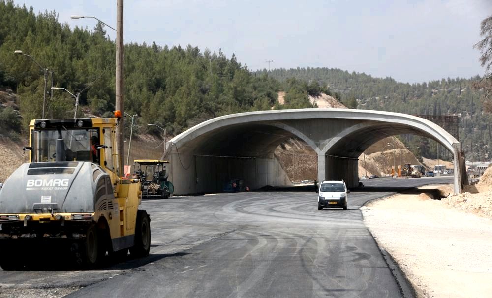דרכים אלטרנטיביות לנסיעה בישראל: אפשרויות ירוקות דרכים אלטרנטיביות לנסיעה בישראל: אפשרויות ירוקות