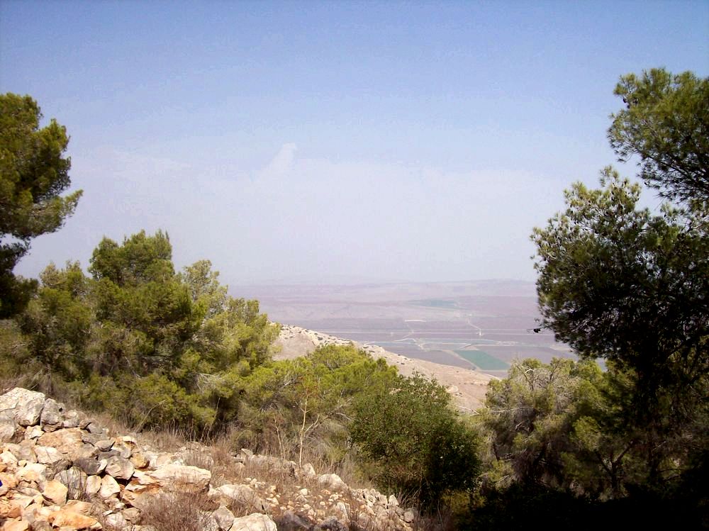 מוזיאונים אקולוגיים בישראל: הוראה והשראה מוזיאונים אקולוגיים בישראל: הוראה והשראה