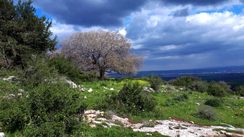 סודות שבמסלולי הרים סודות שבמסלולי הרים