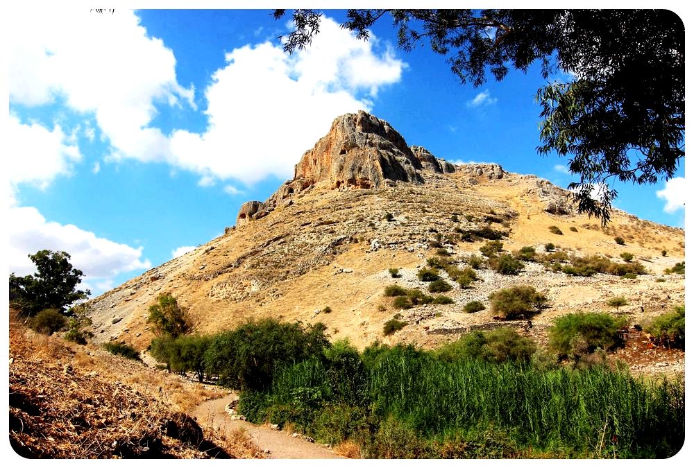 אואזיסים ההר אואזיסים ההר