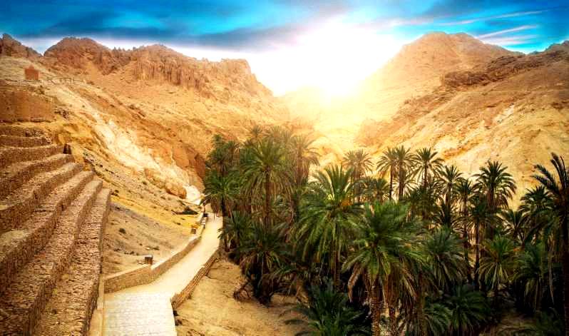 אואזיסים ההר אואזיסים ההר