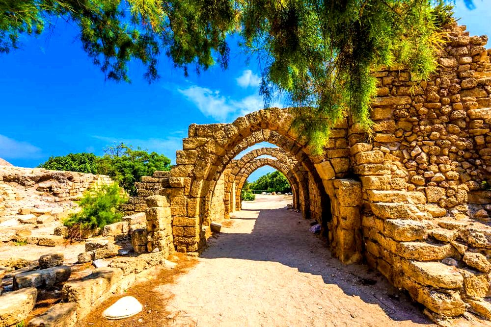 מסגדים היסטוריים בישראל: מורשת תרבותית מסגדים היסטוריים בישראל: מורשת תרבותית