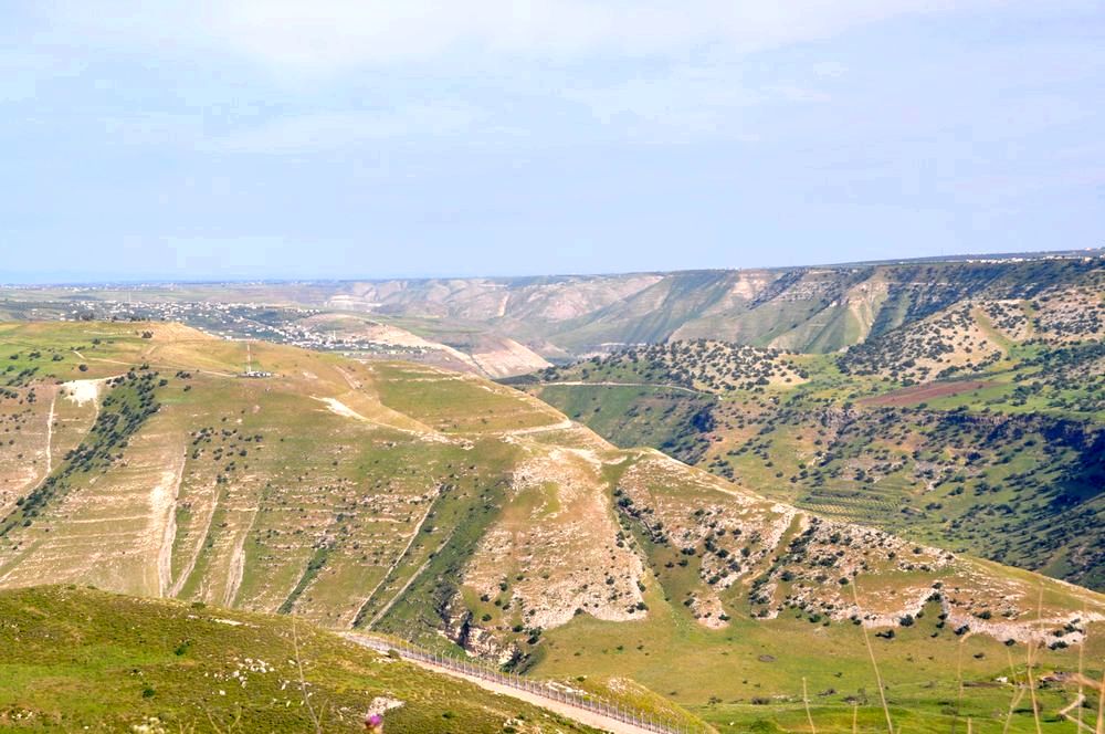 שדות האגוזים ברמת הגולן שדות האגוזים ברמת הגולן