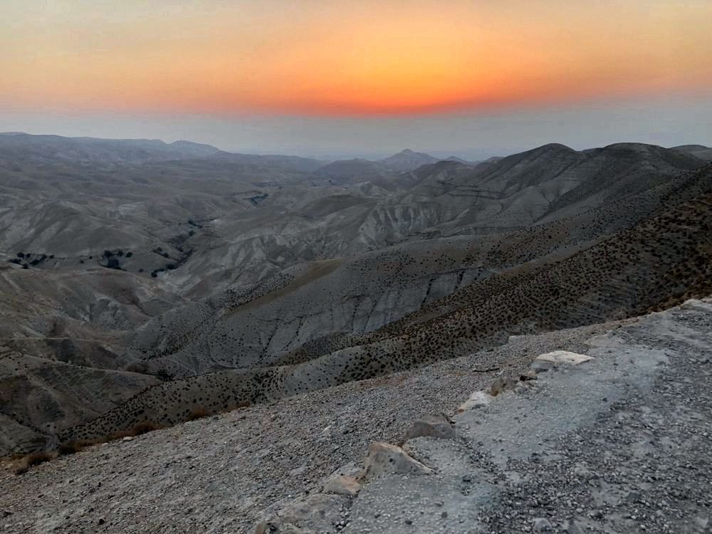 נתיב יהודה נתיב יהודה