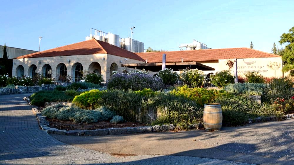 מטיפים מיסטיים מטיפים מיסטיים