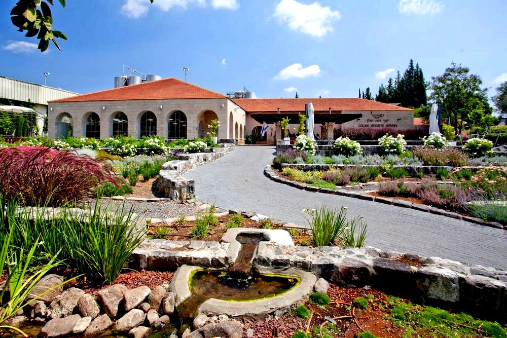 מטיפים מיסטיים מטיפים מיסטיים