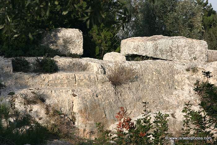 תחיית המכבים תחיית המכבים